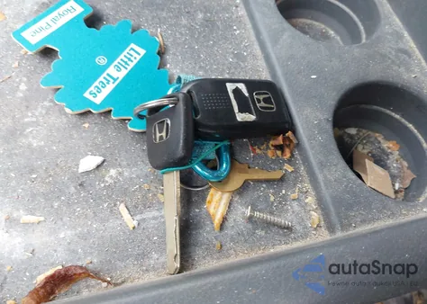 2005 Honda Odyssey Ex-L from USA, damaged, VIN 5FNRL38605B424618